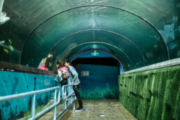 Youth Volunteer and young child at a Buddies Day at the aquarium